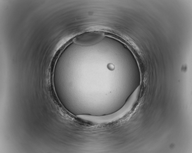 X0000099490877200805291105