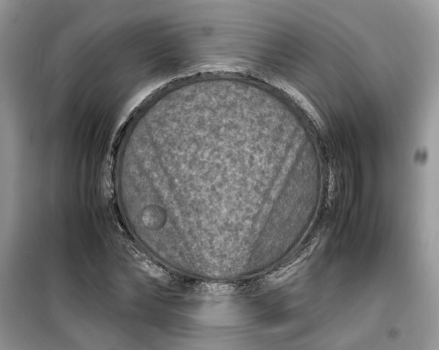 X0000099490878200805291105