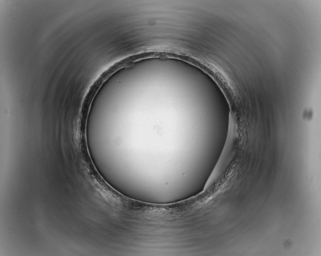 X0000099490880200805291105