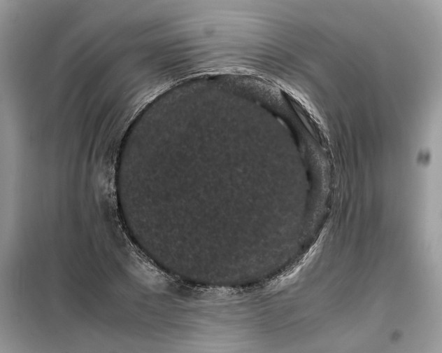 X0000099490881200805291105