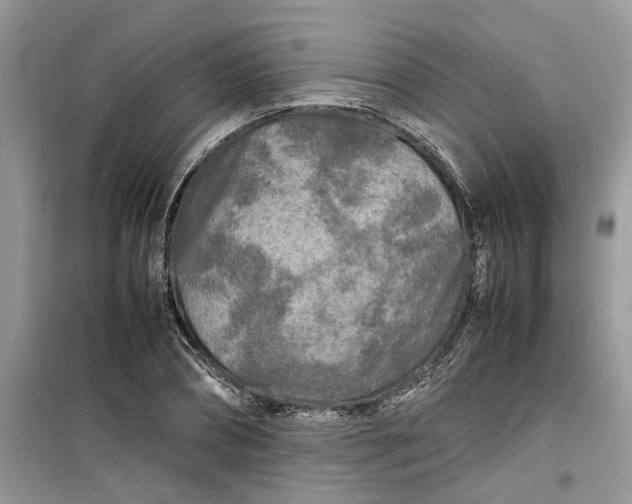 X0000099490882200805291105