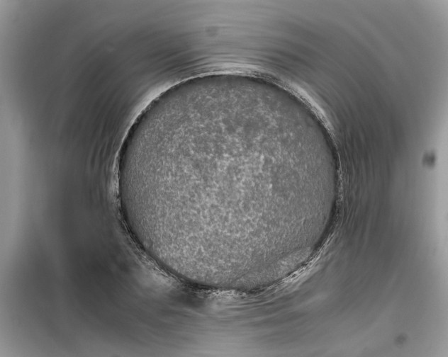 X0000099490883200805291105