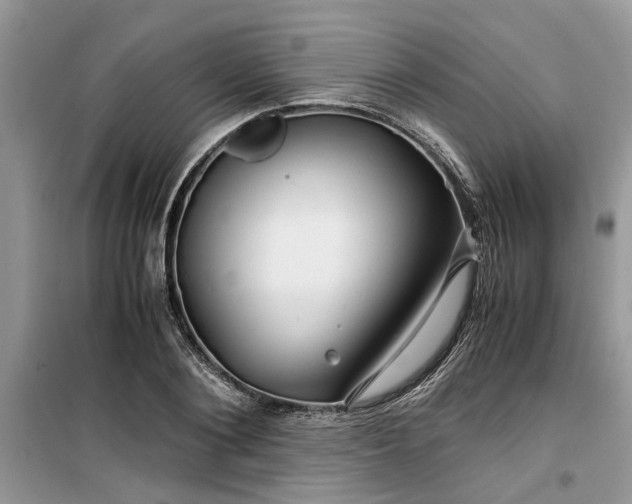 X0000099490884200805291105