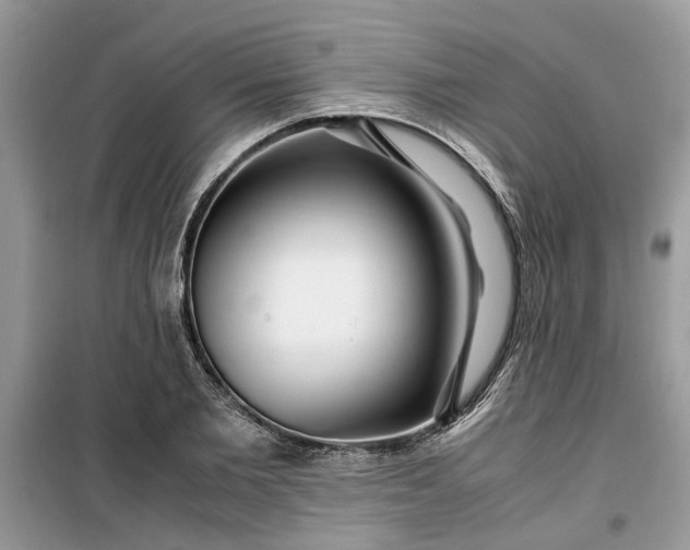 X0000099490885200805291105