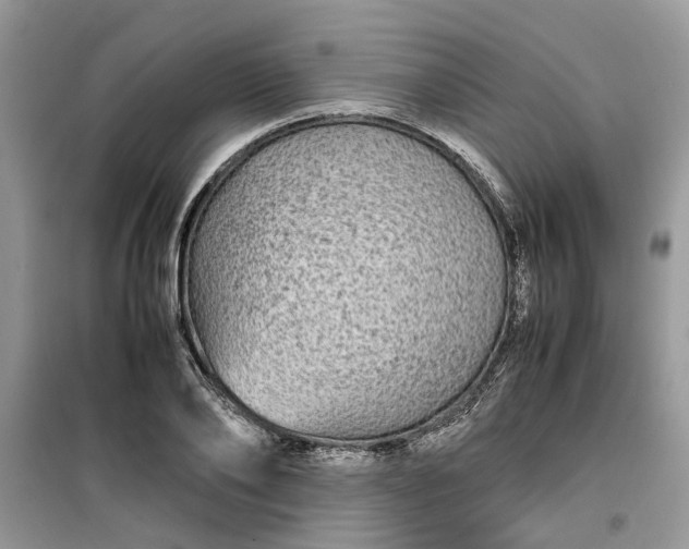 X0000099490886200805291105