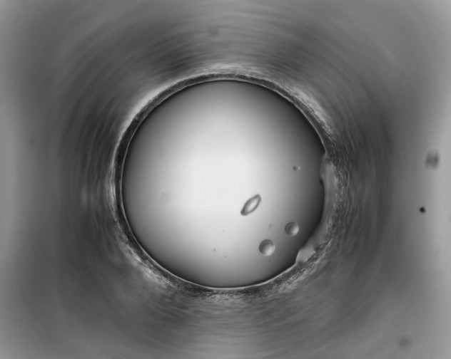 X0000099490888200805291104