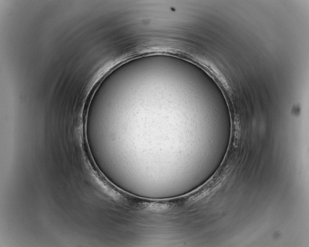 X0000099490890200805291104