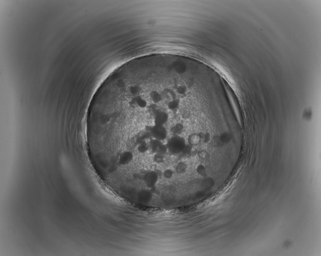 X0000099490891200805291104