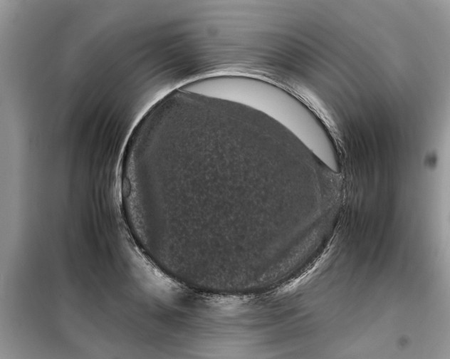 X0000099490892200805291104