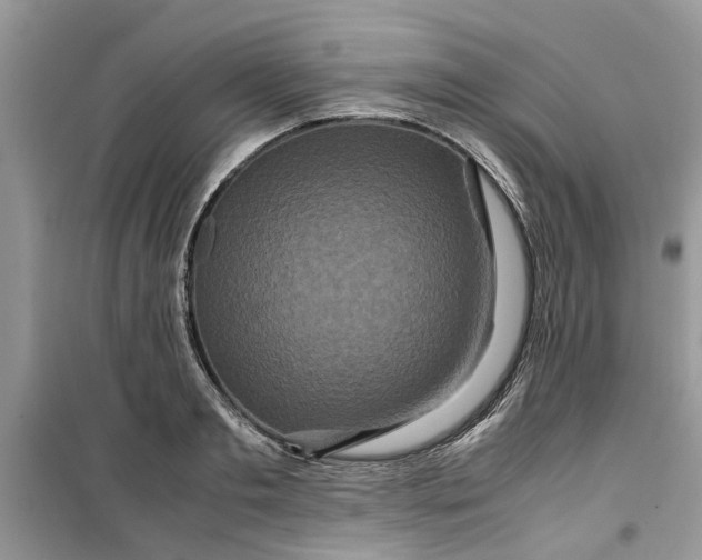 X0000099490893200805291104