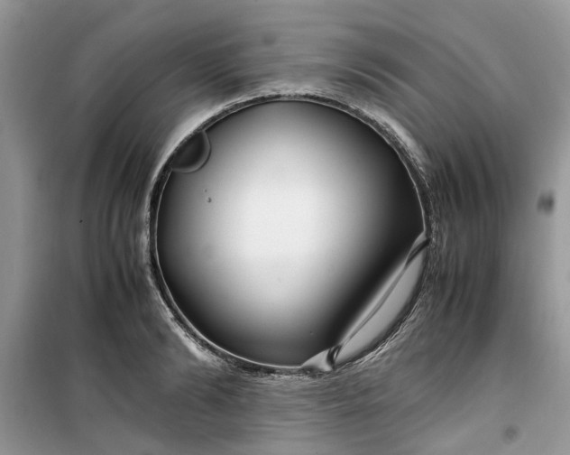 X0000099490894200805291104