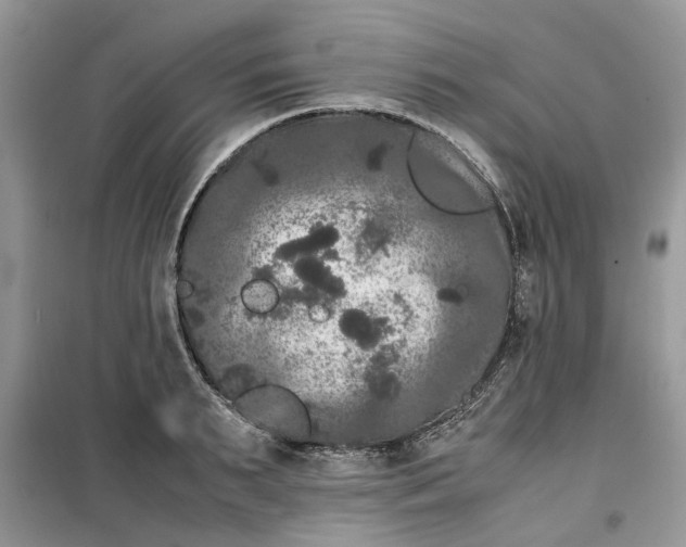 X0000099490895200805291104