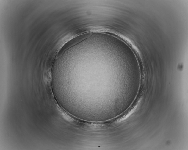 X0000099490897200805291104