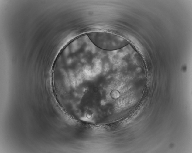 X0000099490899200805291104