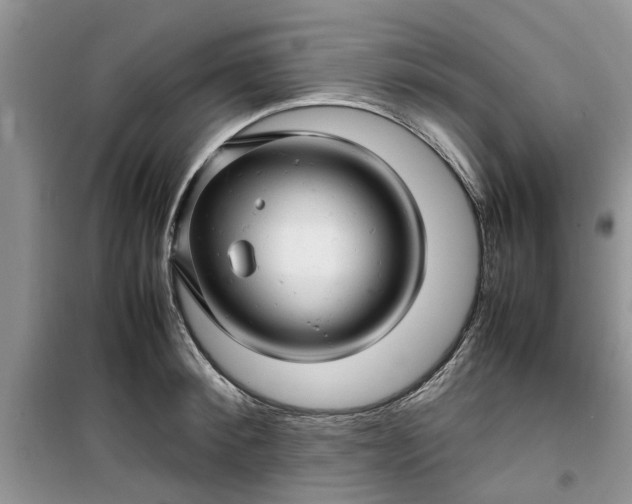 X0000099490900200805291104