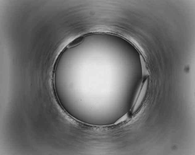 X0000099490901200805291104