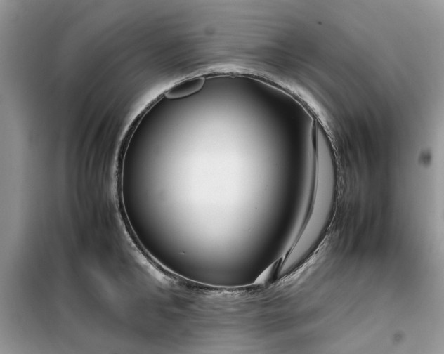 X0000099490902200805291104