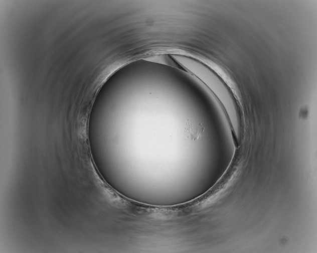 X0000099490905200805291104