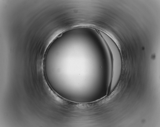 X0000099490906200805291104