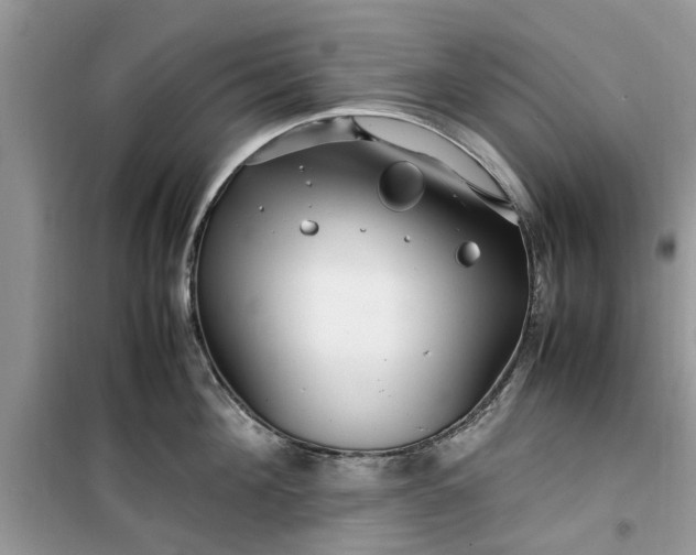 X0000099490908200805291104