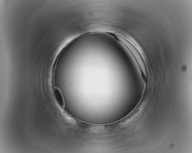 X0000099490909200805291104