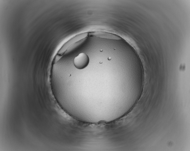 X0000099490912200805291104