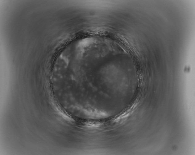 X0000099490913200805291103