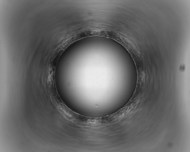 X0000099490914200805291103