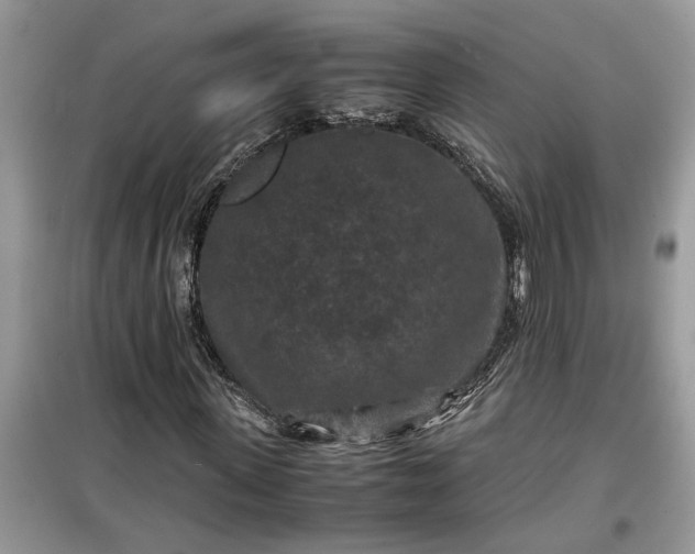 X0000099490915200805291103