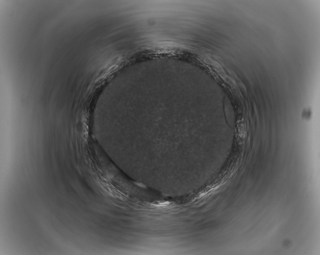 X0000099490916200805291103