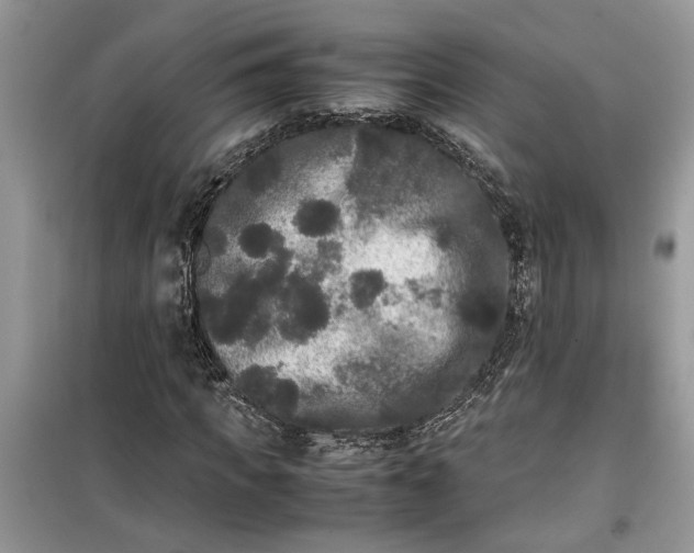 X0000099490917200805291103