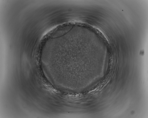 X0000099490919200805291103