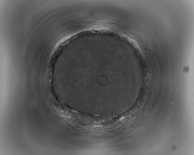 X0000099490920200805291103