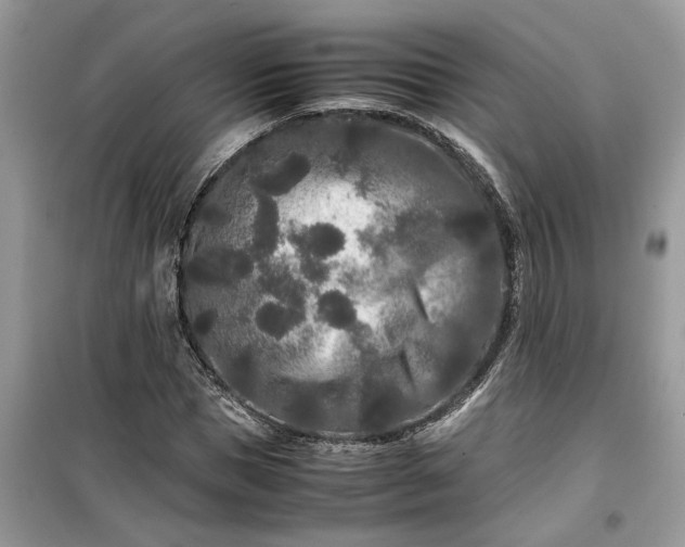 X0000099490921200805291103