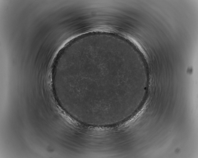 X0000099490923200805291104