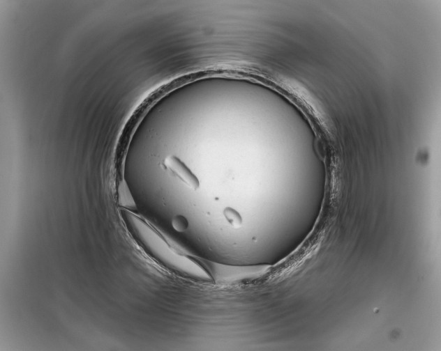 X0000099490924200805291104