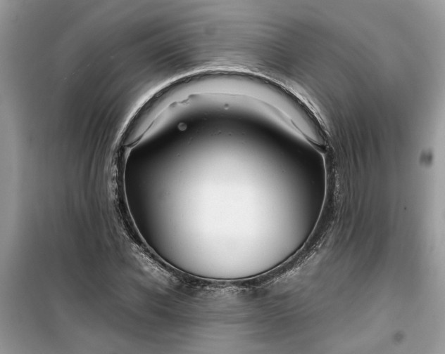 X0000099490926200805291104