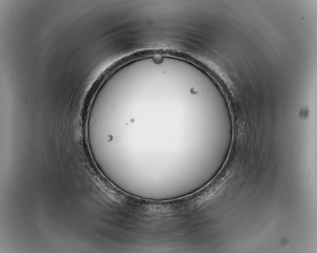 X0000099490927200805291104