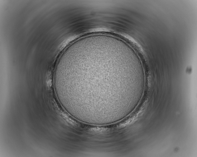 X0000099490929200805291104