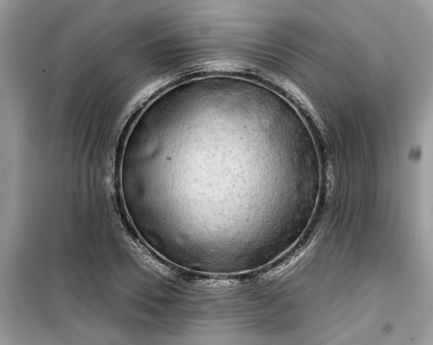 X0000099490930200805291104