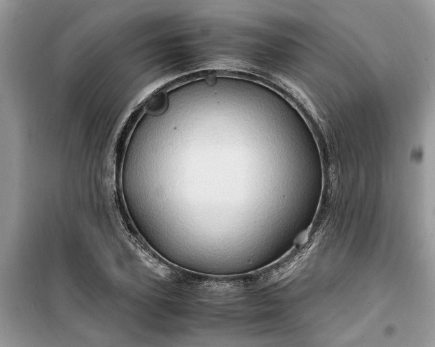 X0000099490931200805291104