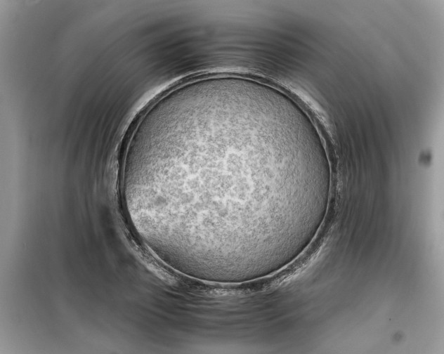 X0000099490933200805291104