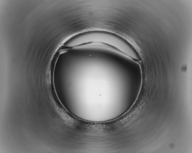 X0000099490934200805291104