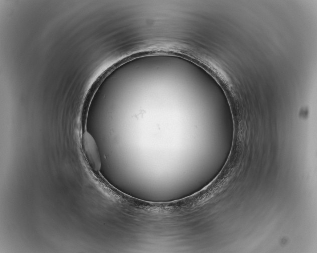 X0000099490936200805291104