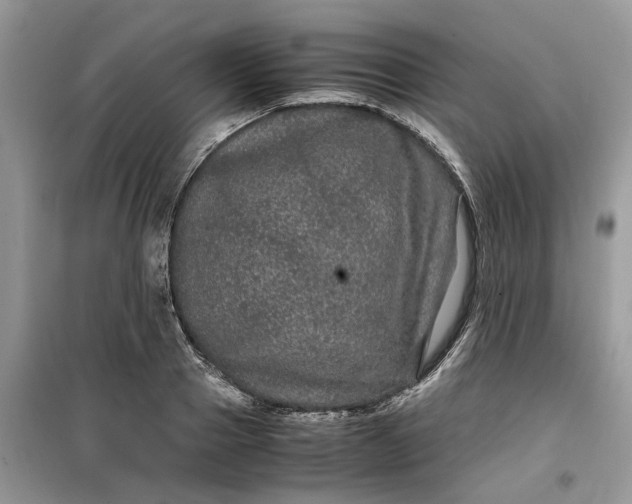 X0000099490937200805291104