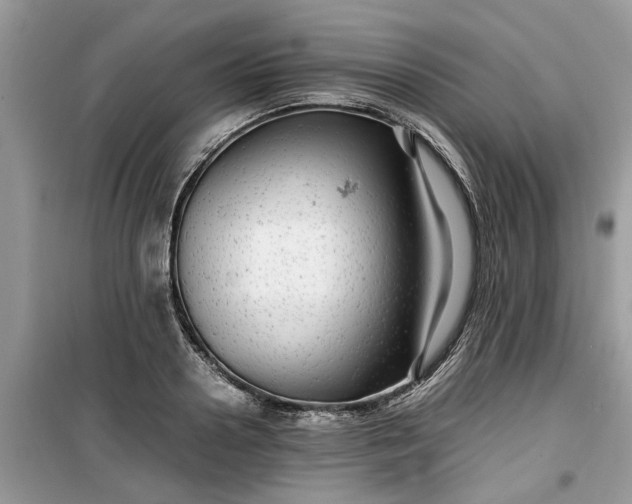 X0000099490938200805291104