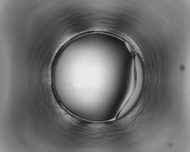 X0000099490939200805291104