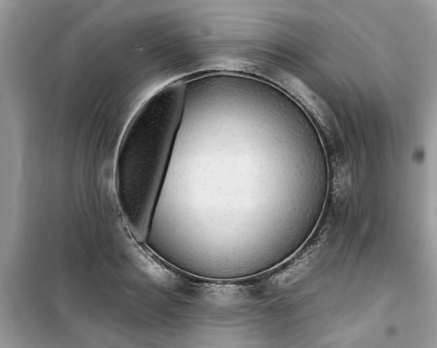 X0000099490940200805291104