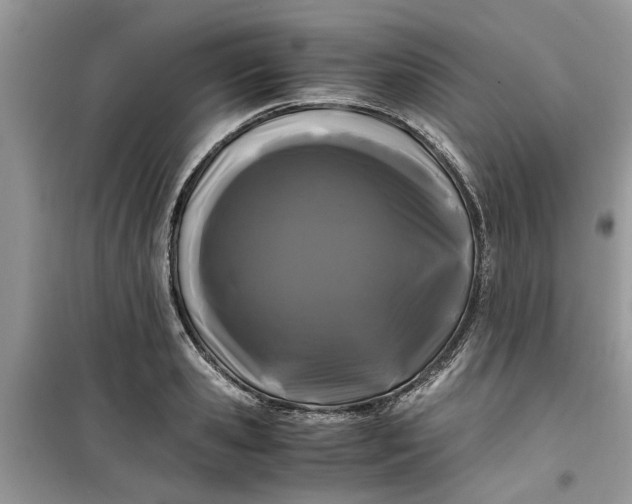 X0000099490941200805291104