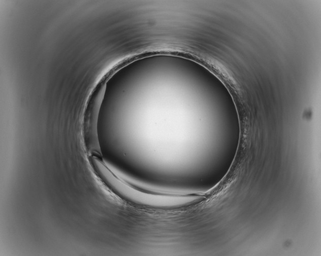 X0000099490942200805291104